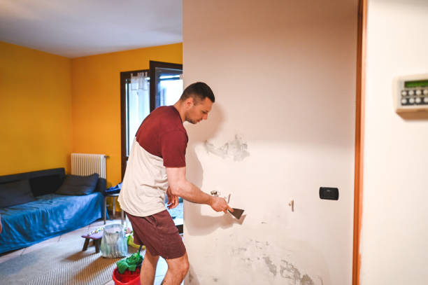 Best Mold Damage Repair  in Southworth, WA